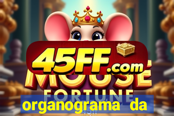 organograma da cacau show